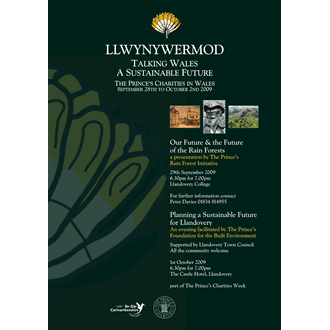 Llwynywermod-promo-330